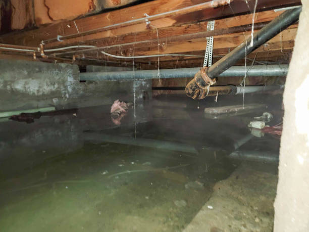 Best Ceiling water damage repair  in Delaware, OH
