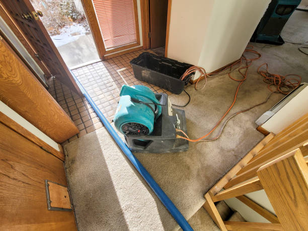 Best Flooded house restoration  in Delaware, OH