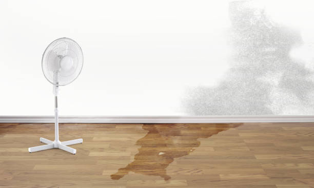 Best Mold removal after water damage  in Delaware, OH