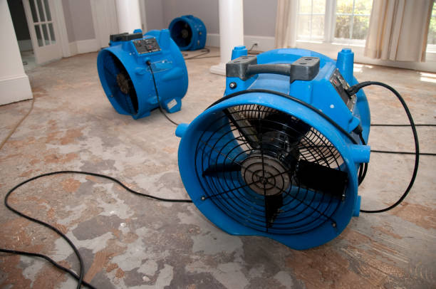 Best Water damage restoration services  in Delaware, OH