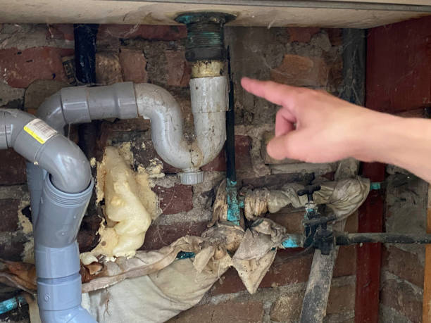 Best Water damage cleanup near me  in Delaware, OH