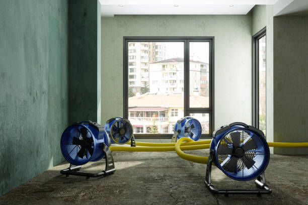 Best Professional water damage repair  in Delaware, OH